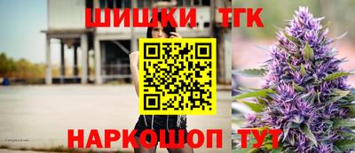 сатива Новозыбков