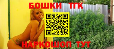 сатива Новозыбков