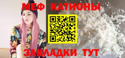 сатива Новозыбков