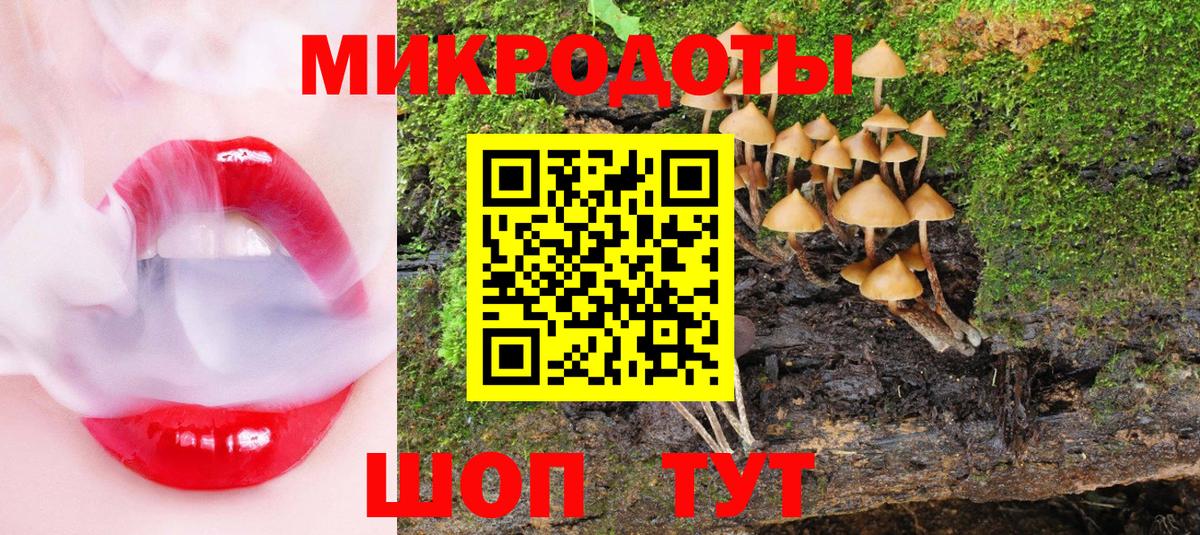Псилоцибиновые грибы прущие грибы Чита