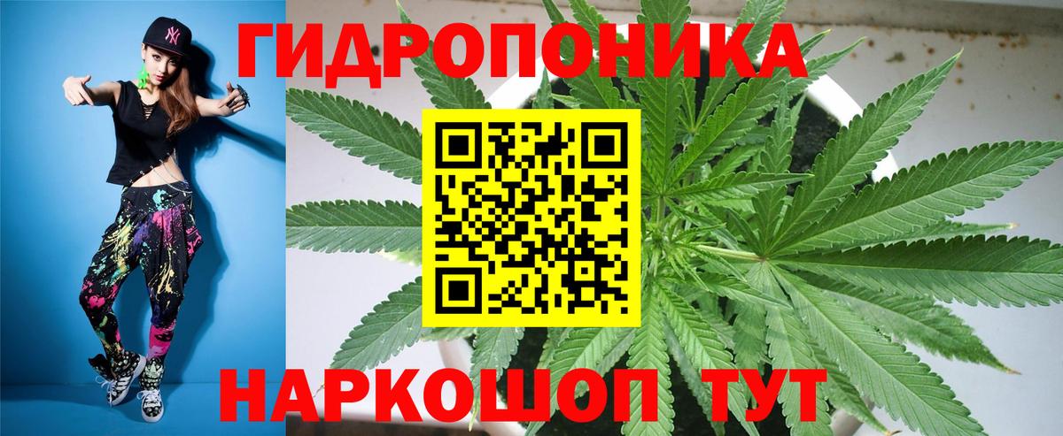 Канабис Bruce Banner Чита